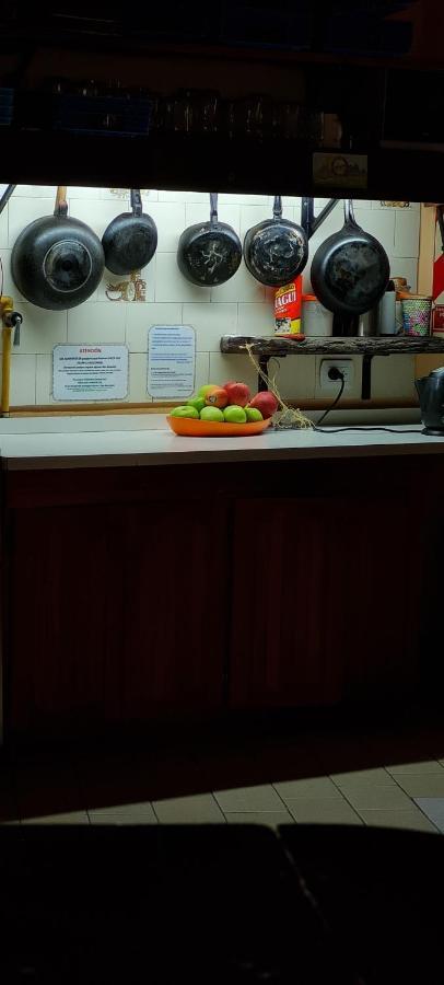 La Casa Del Arbol - Hostel Эль-Больсон Экстерьер фото