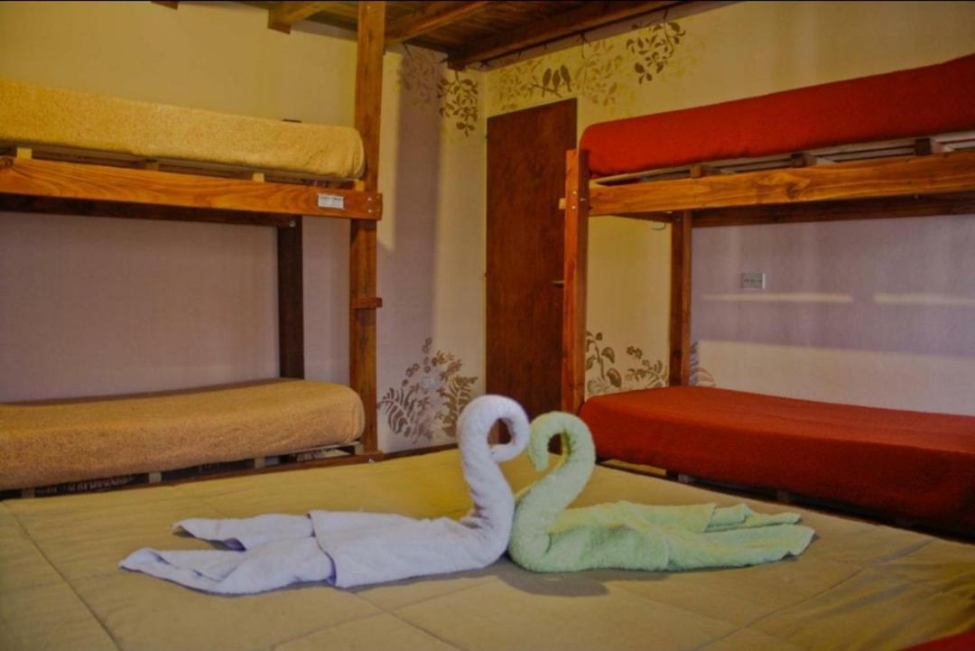 La Casa Del Arbol - Hostel Эль-Больсон Экстерьер фото
