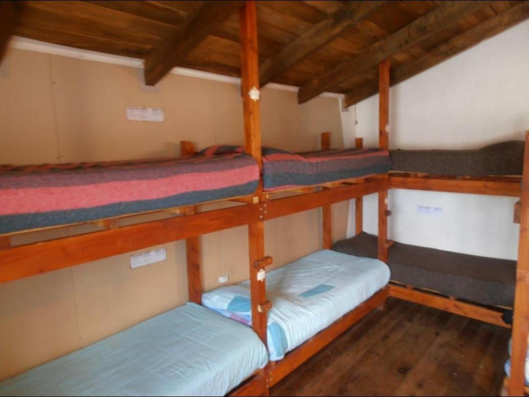 La Casa Del Arbol - Hostel Эль-Больсон Экстерьер фото